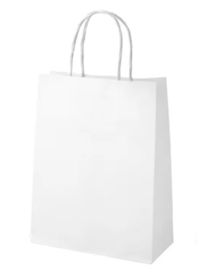 Plain Paper Bags